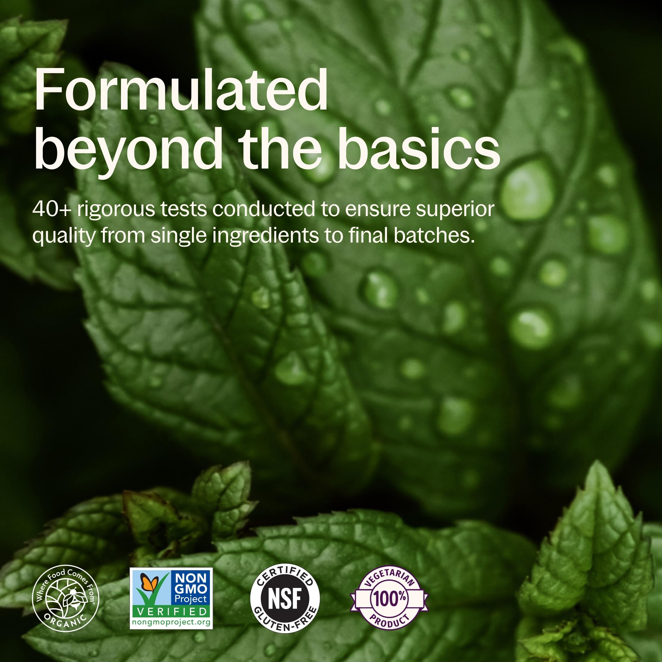 New Chapter tablets beside fruit showing complementary daily nutrition support