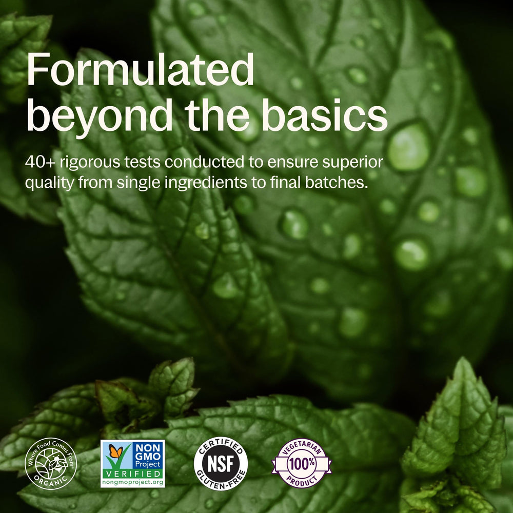 New Chapter tablets beside fruit showing complementary daily nutrition support