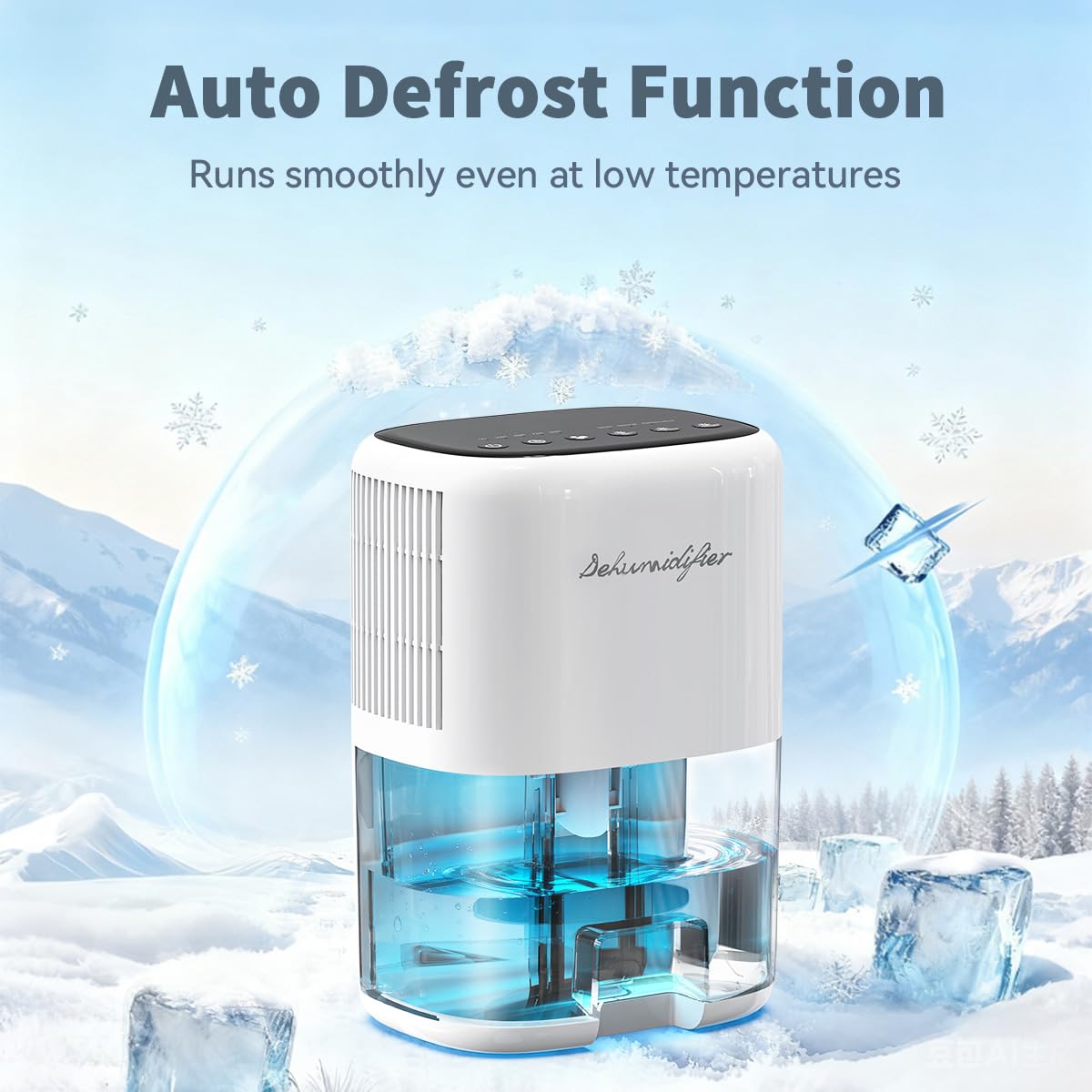 Newo dehumidifier next to soda can showing compact scale for tight spaces
