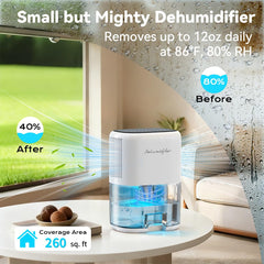 Newo dehumidifier top controls with mode, timer, and power buttons for easy use