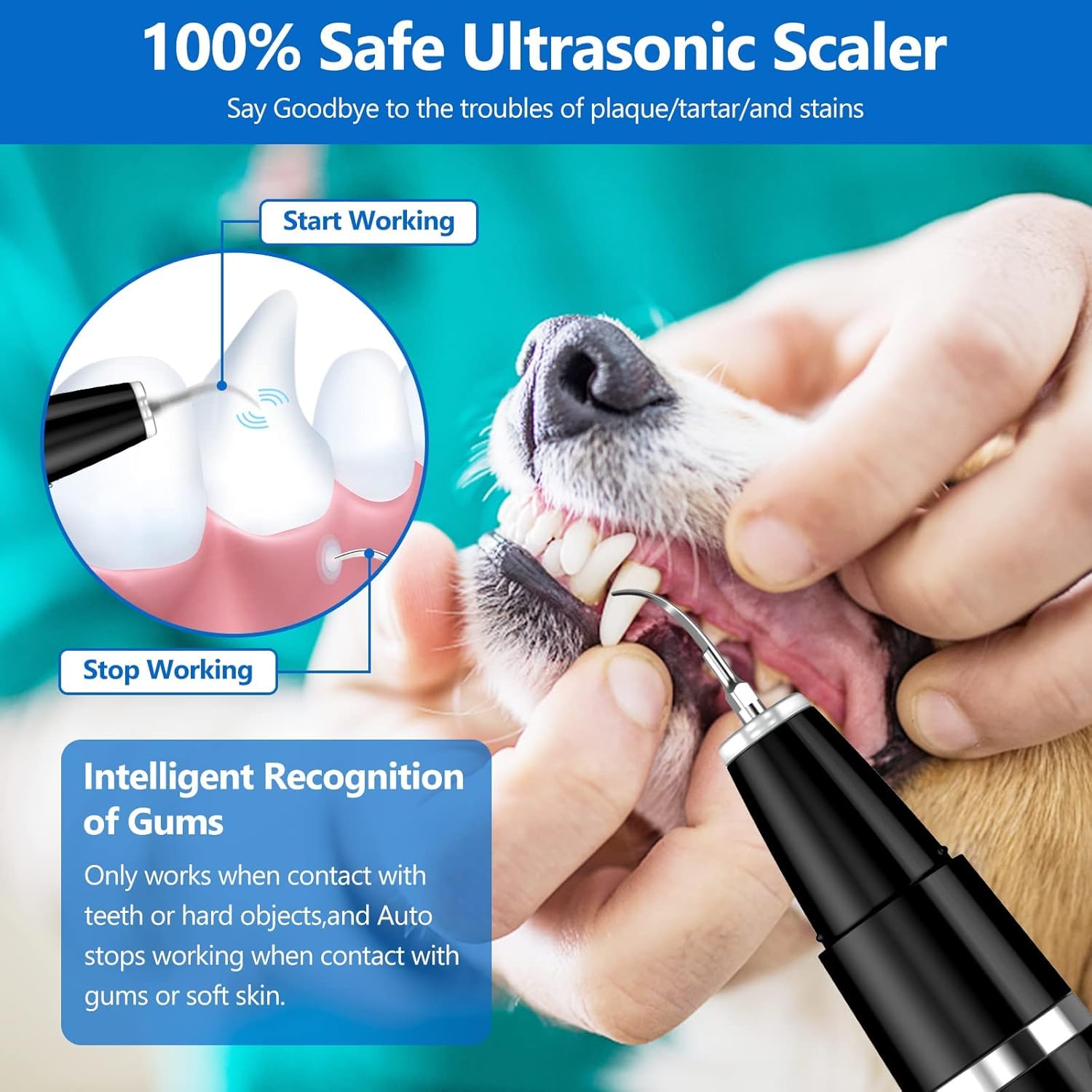 Ni-SHEN ultrasonic handle closeup displaying buttons and ergonomic grip for safe use