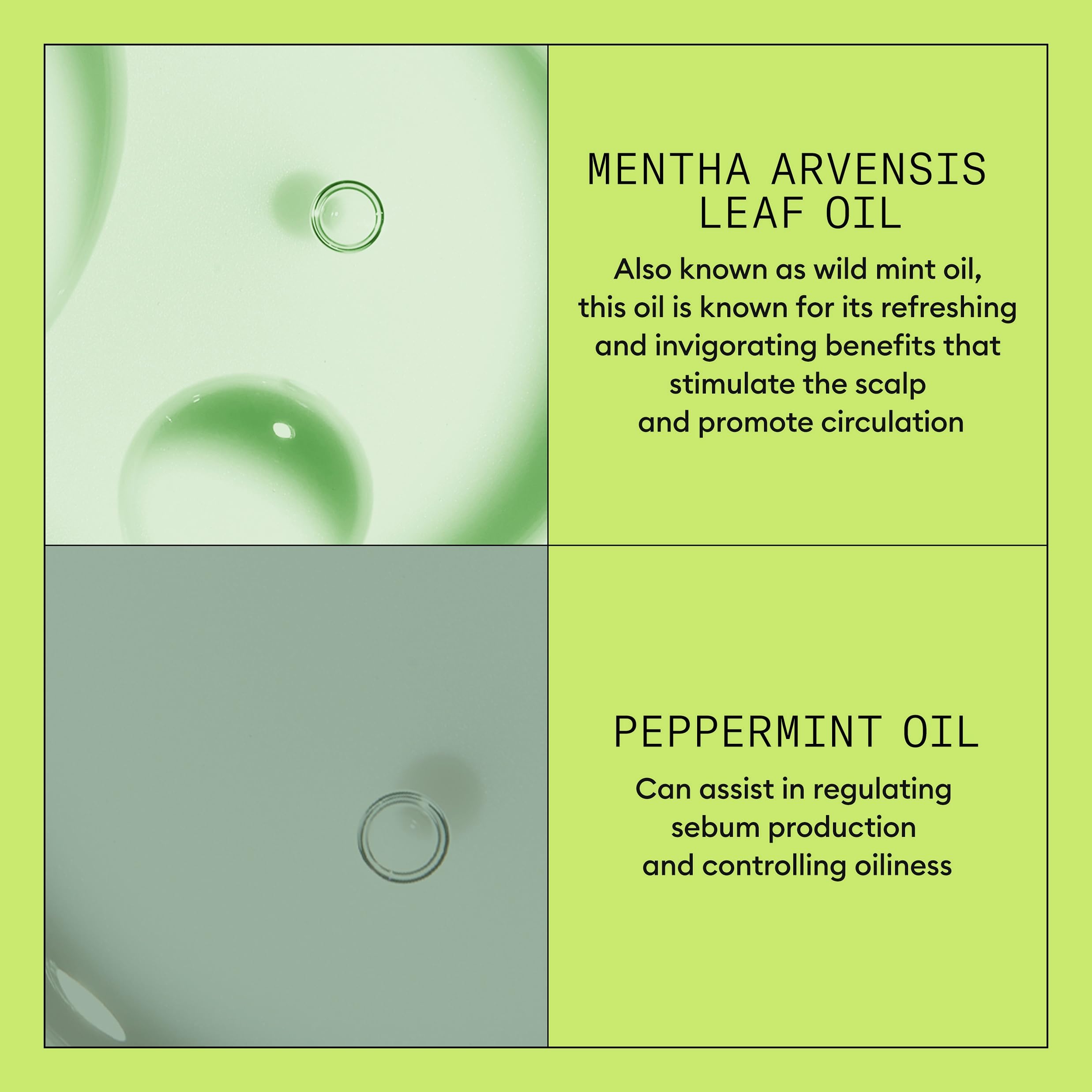 NIOXIN conditioner positioned next to System 2 shampoo showing regimen benefit