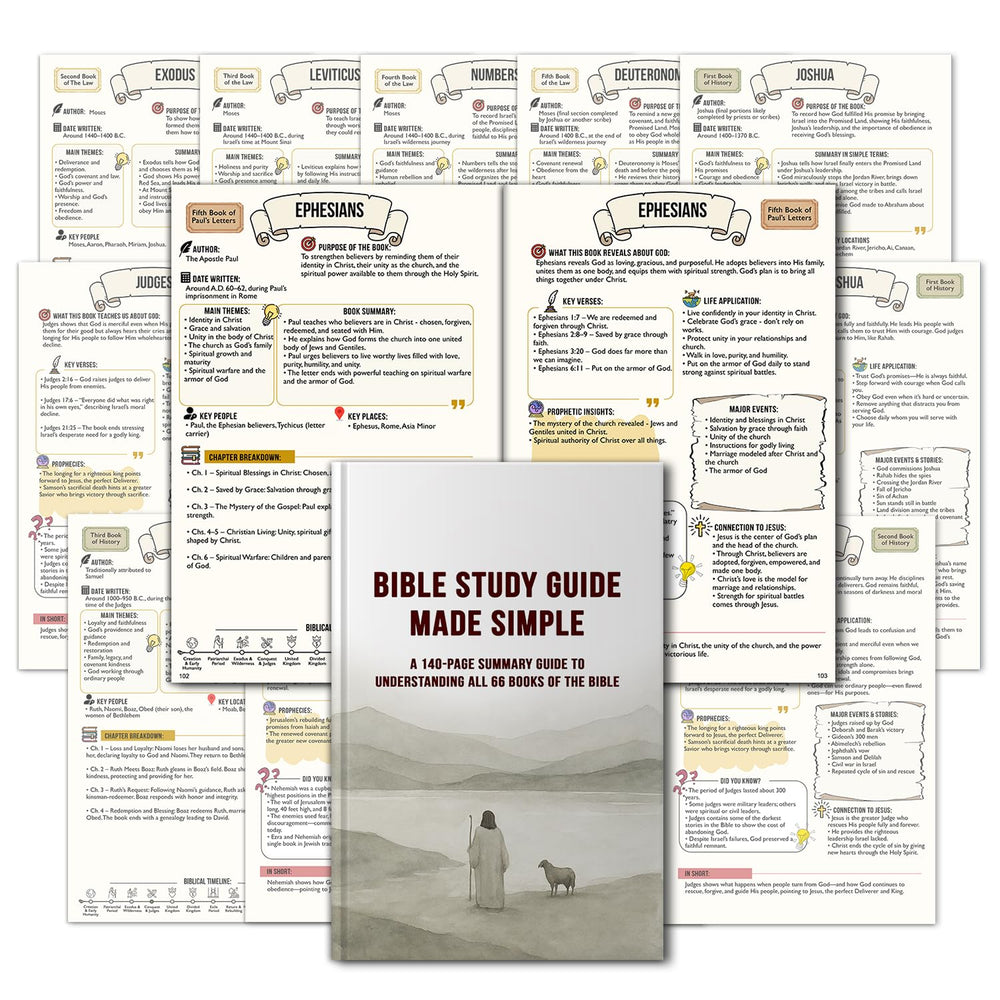 Nonlae front cover of the study guide showing inviting design and clarity