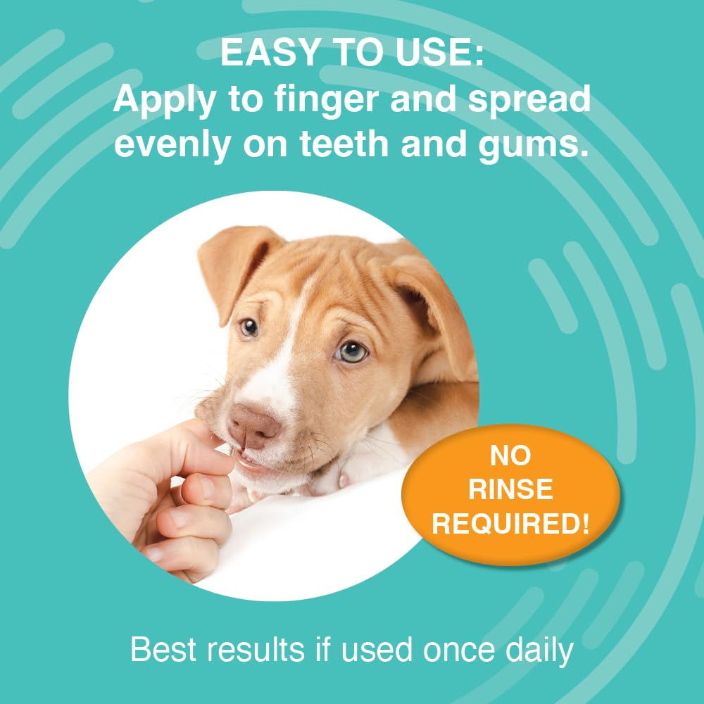 Nootie applied to a dog’s gum line showing simple daily use benefit