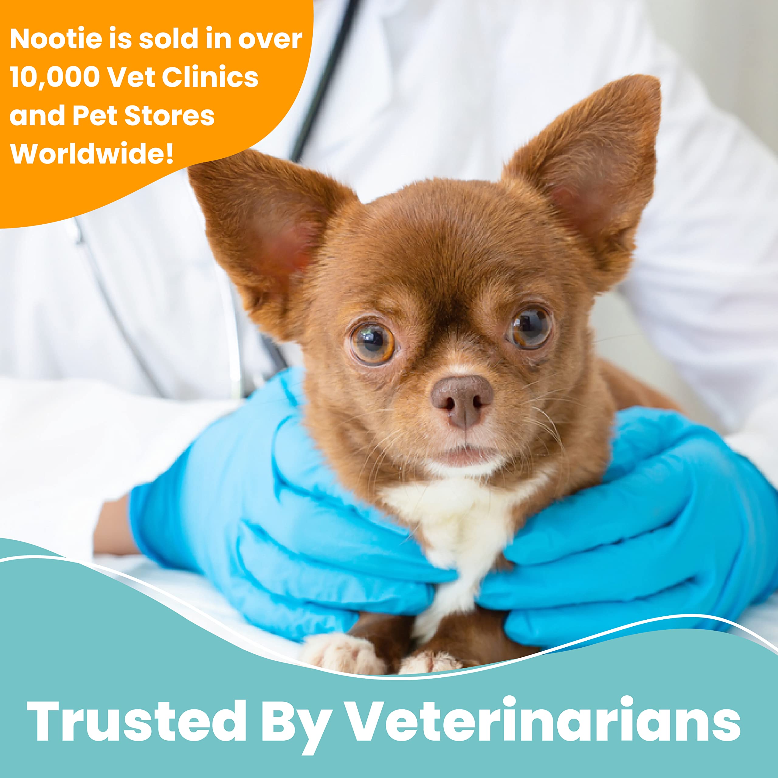 owner using Nootie wipe on a dog in home setting for quick spot treatment
