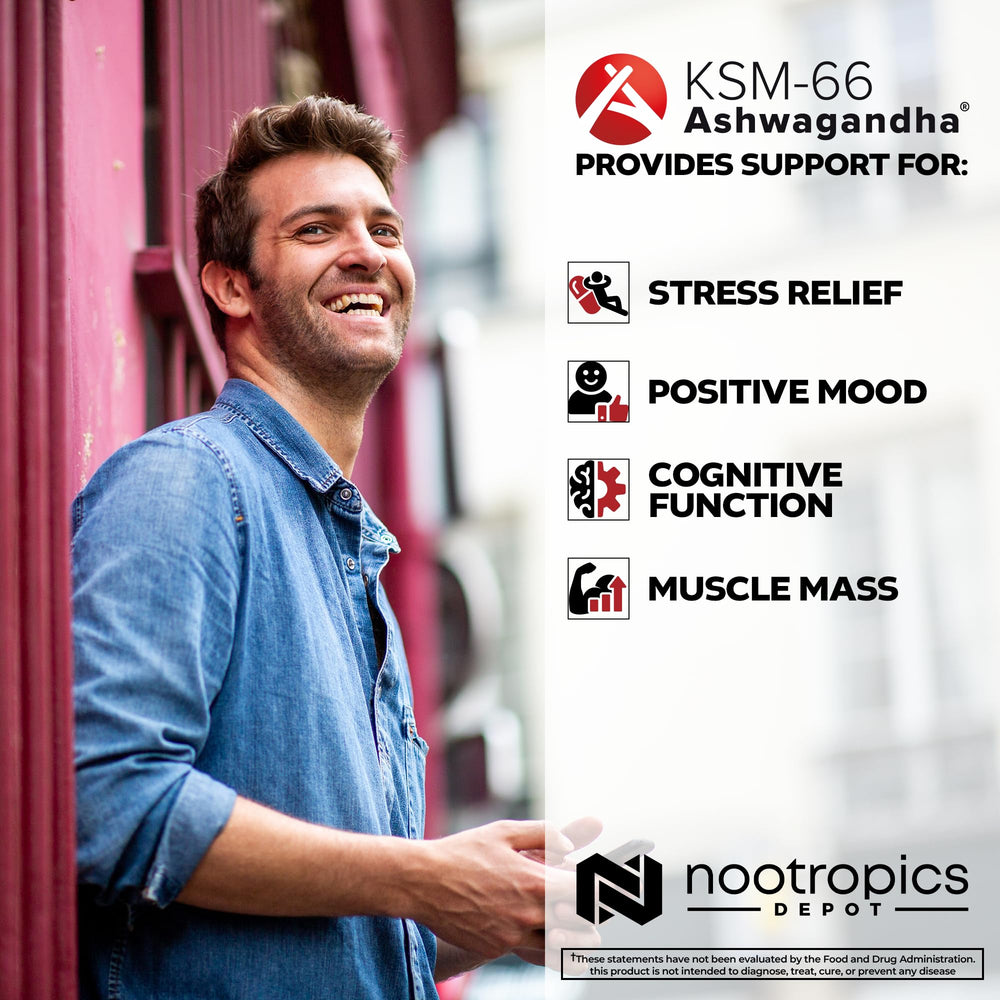 Nootropics Depot capsule in hand for scale demonstrating easy swallow benefit