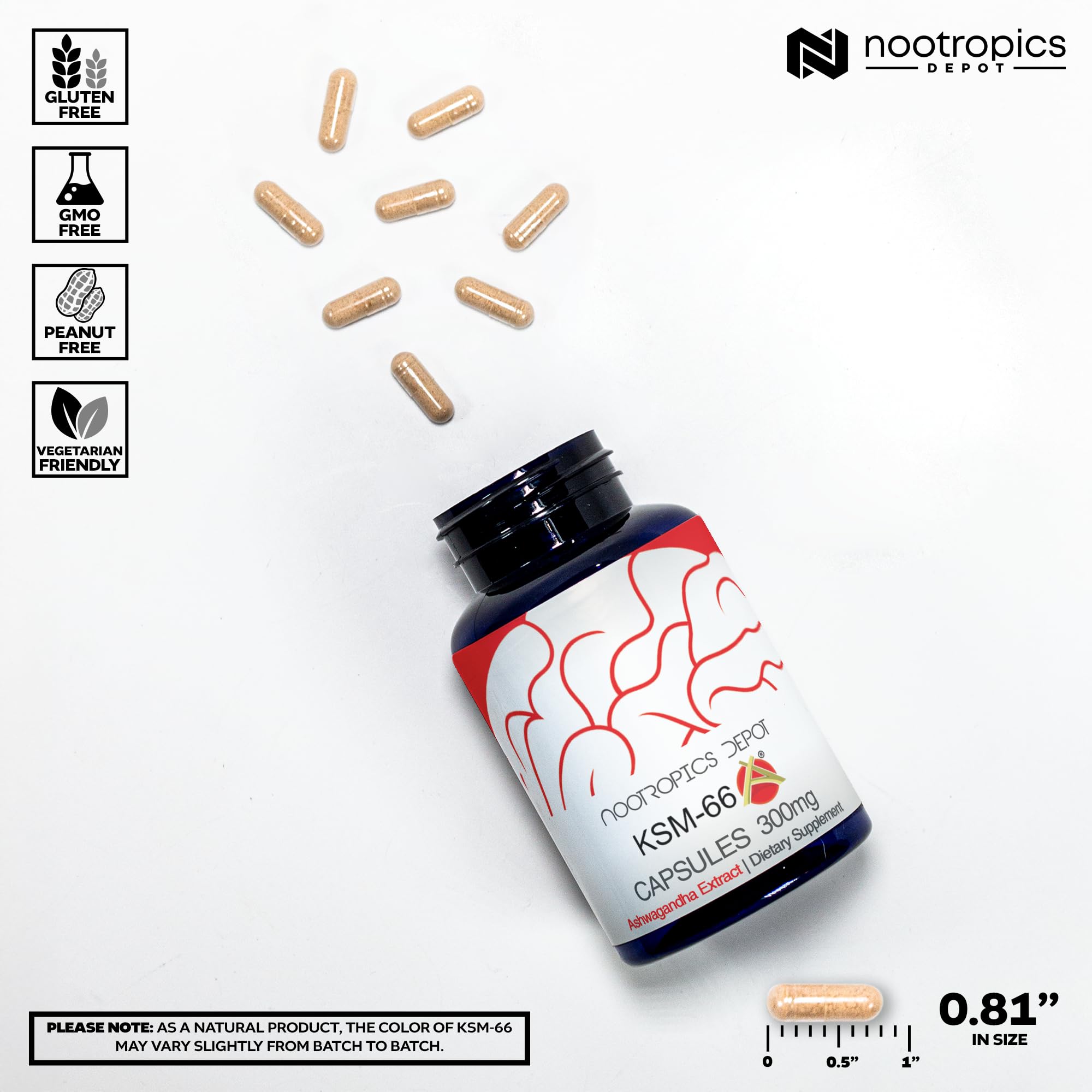 Nootropics Depot capsules spread on surface highlighting 300mg dosage