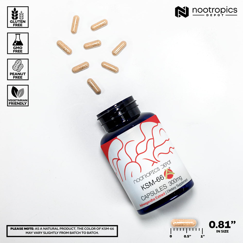 Nootropics Depot product label detail highlighting KSM-66 extract information