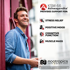 Nootropics Depot product label ingredient panel highlighting standardized extract
