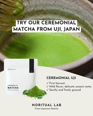 NORITUAL LAB matcha powder close-up showing fine texture and smooth consistency for froth