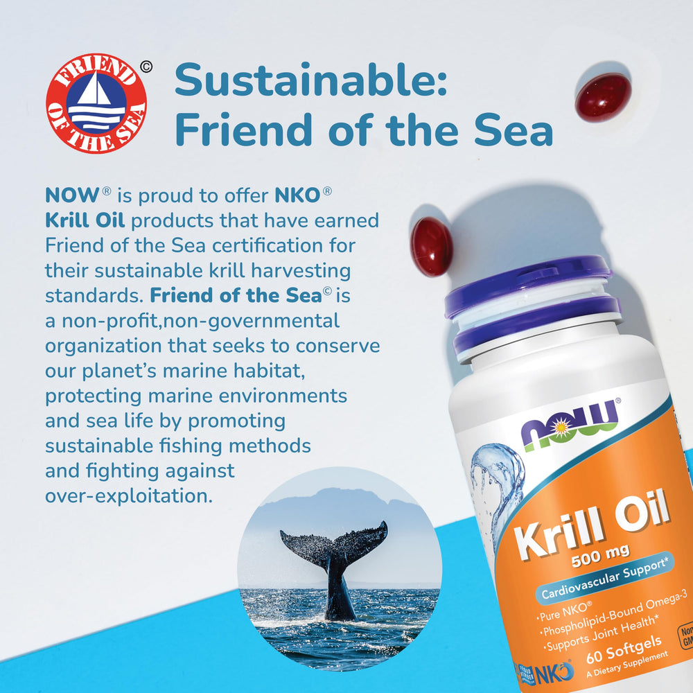 NOW krill oil on a breakfast table lifestyle scene suggesting daily dietary routine support
