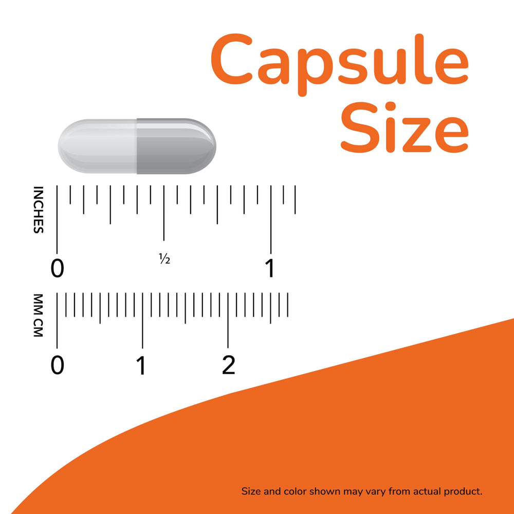 NOW Probiotic-10 label with strain list showing verified strain transparency