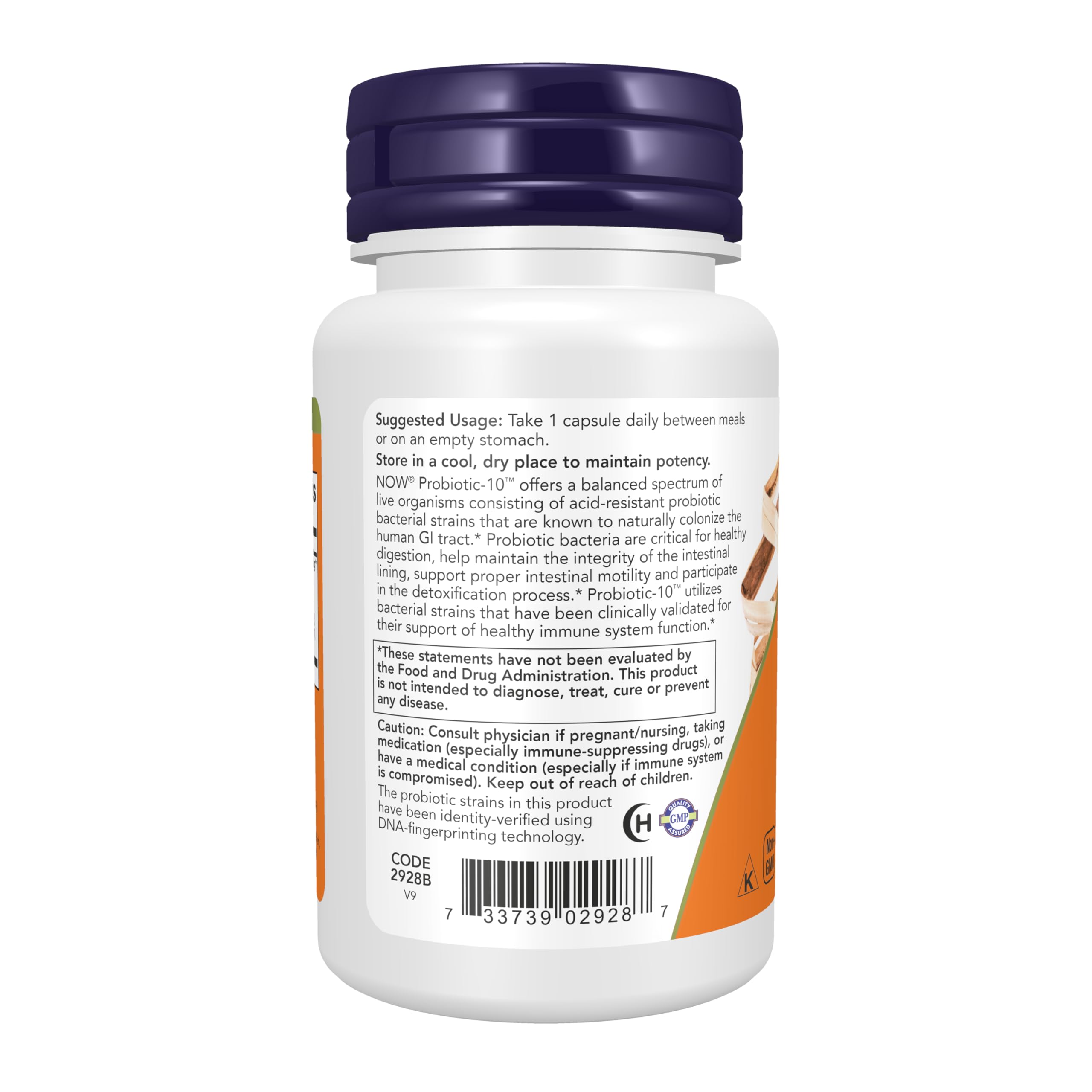 NOW Probiotic-10 powder texture detail demonstrating high-quality formulation