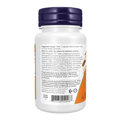 NOW Probiotic-10 powder texture detail demonstrating high-quality formulation
