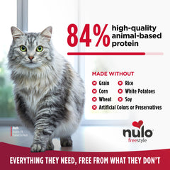 Nulo kibble close-up showing small disc texture for easier chewing