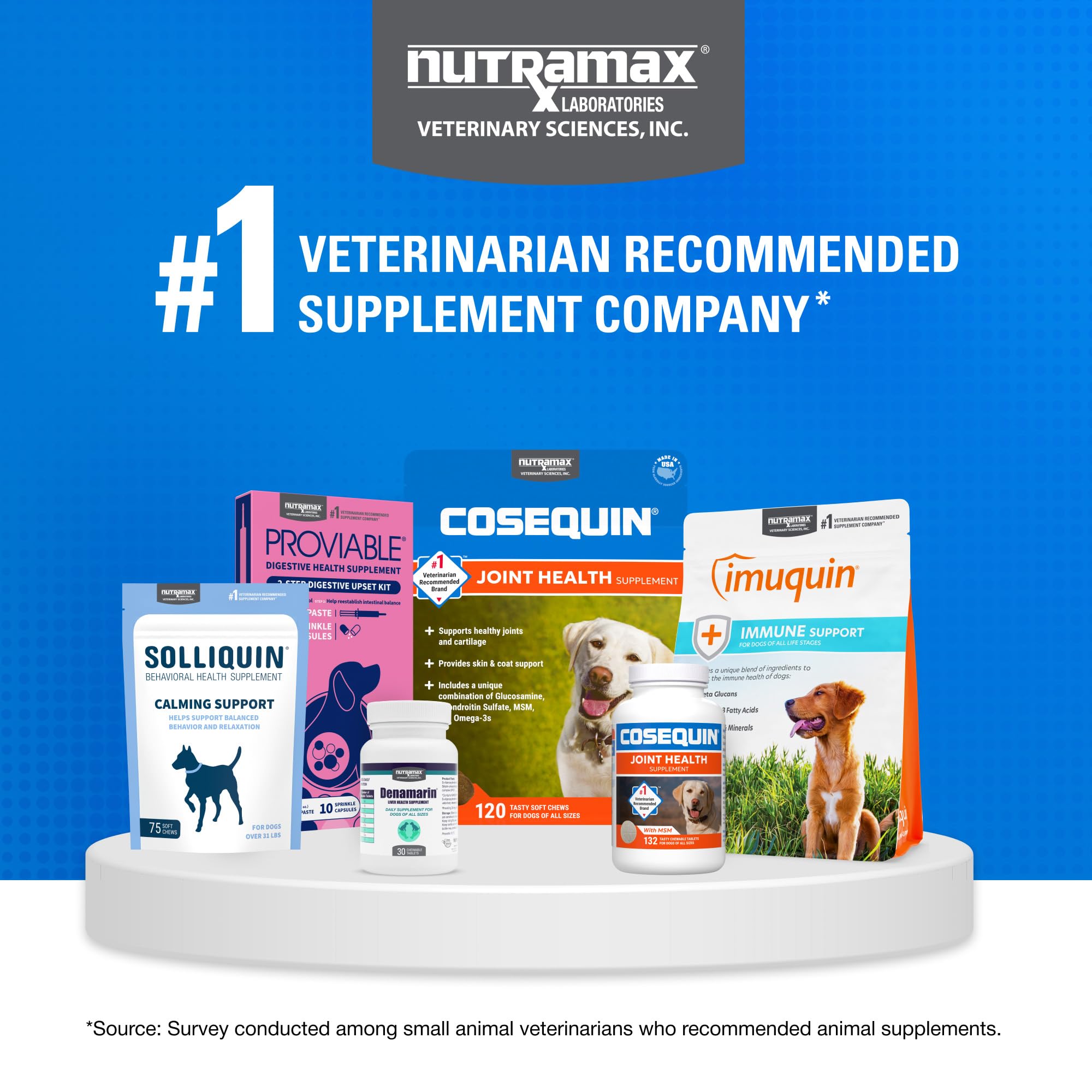Active dog outdoors after taking Nutramax Cosequin demonstrating improved mobility