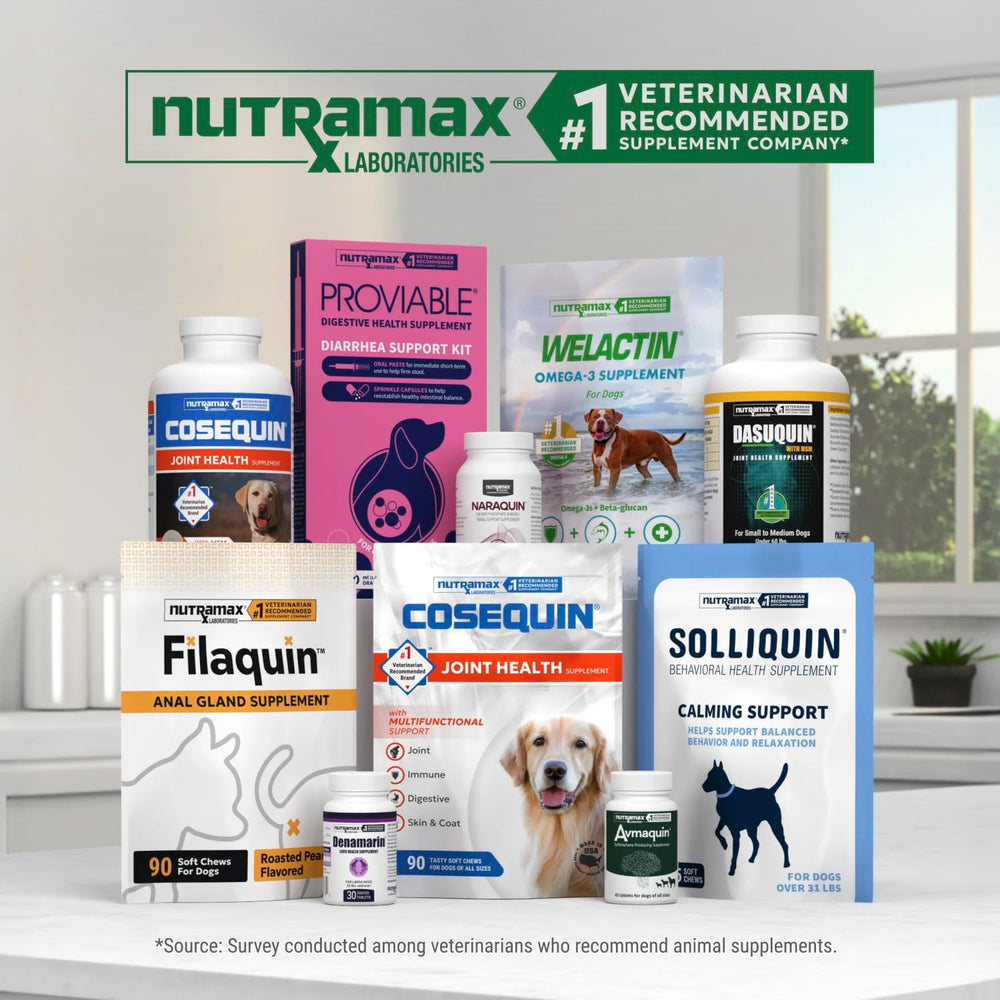 Nutramax Dasuquin bottle open revealing chew count and storage convenience