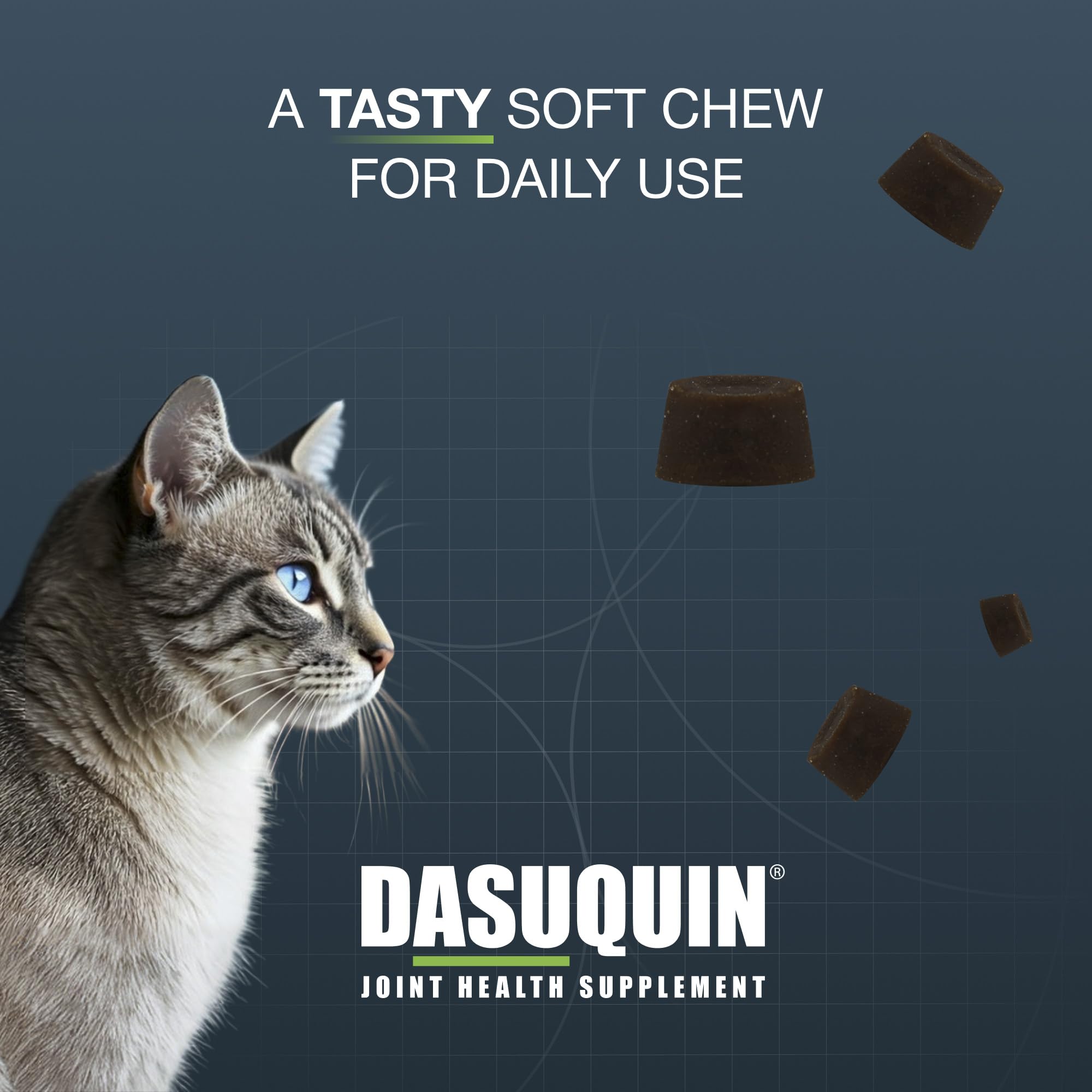 Dasuquin soft chew held in a hand to demonstrate serving size and convenience