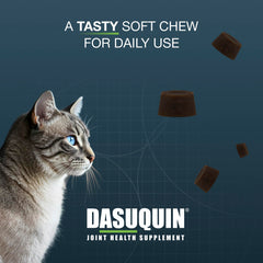 Dasuquin soft chew held in a hand to demonstrate serving size and convenience