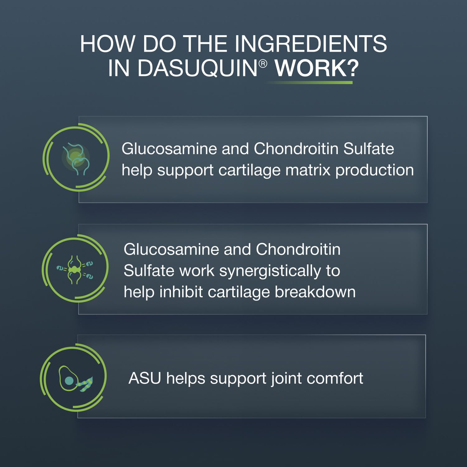 Nutramax Dasuquin chew presented on a plate to show treat-like appeal