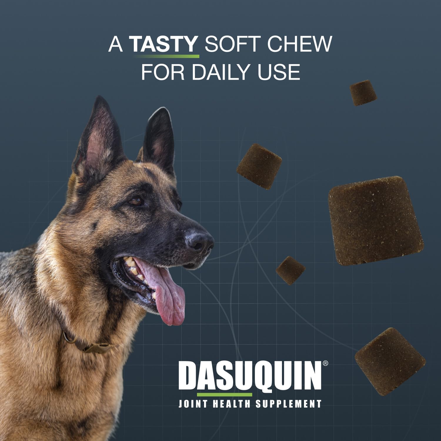 Large dog taking a Nutramax Dasuquin chew offering convenient dosing