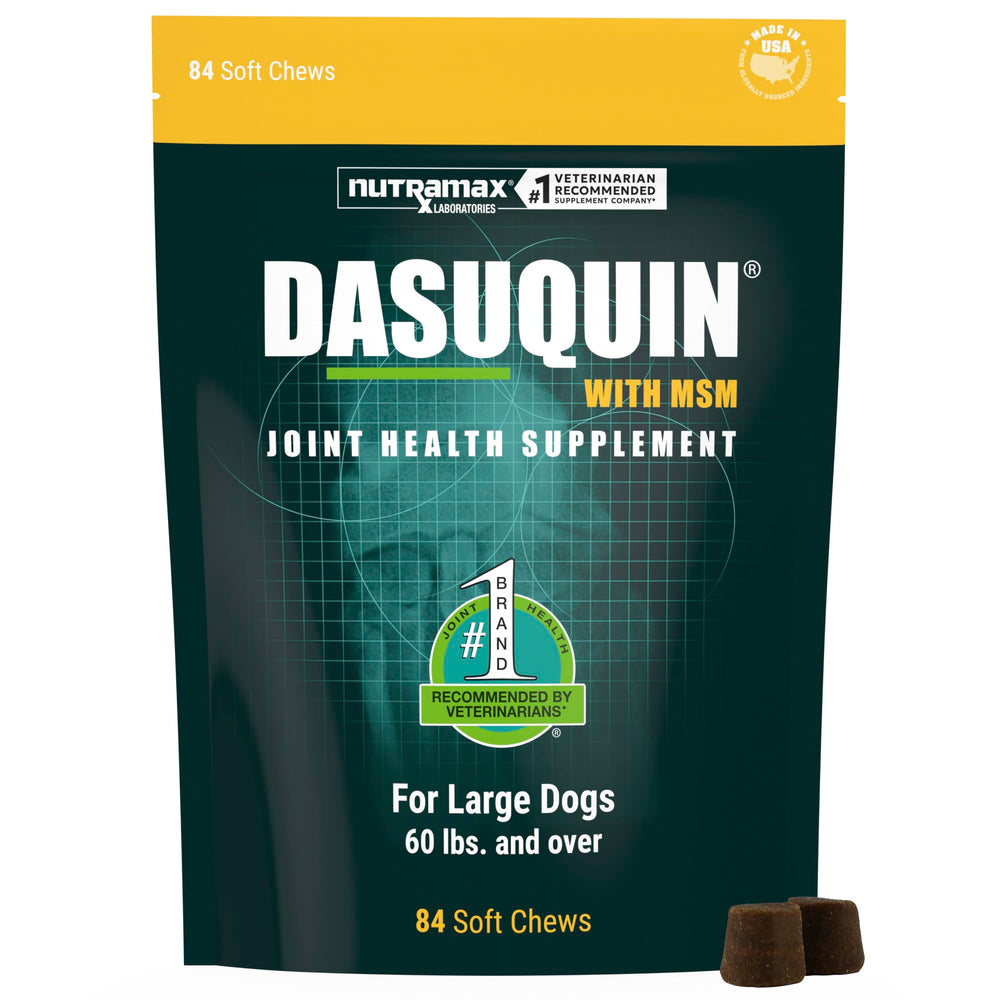 Nutramax Dasuquin front packaging showing product and benefits