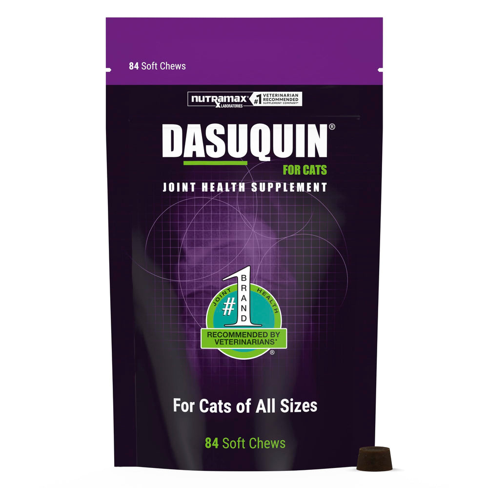 Nutramax Dasuquin front packaging showing brand and product benefits