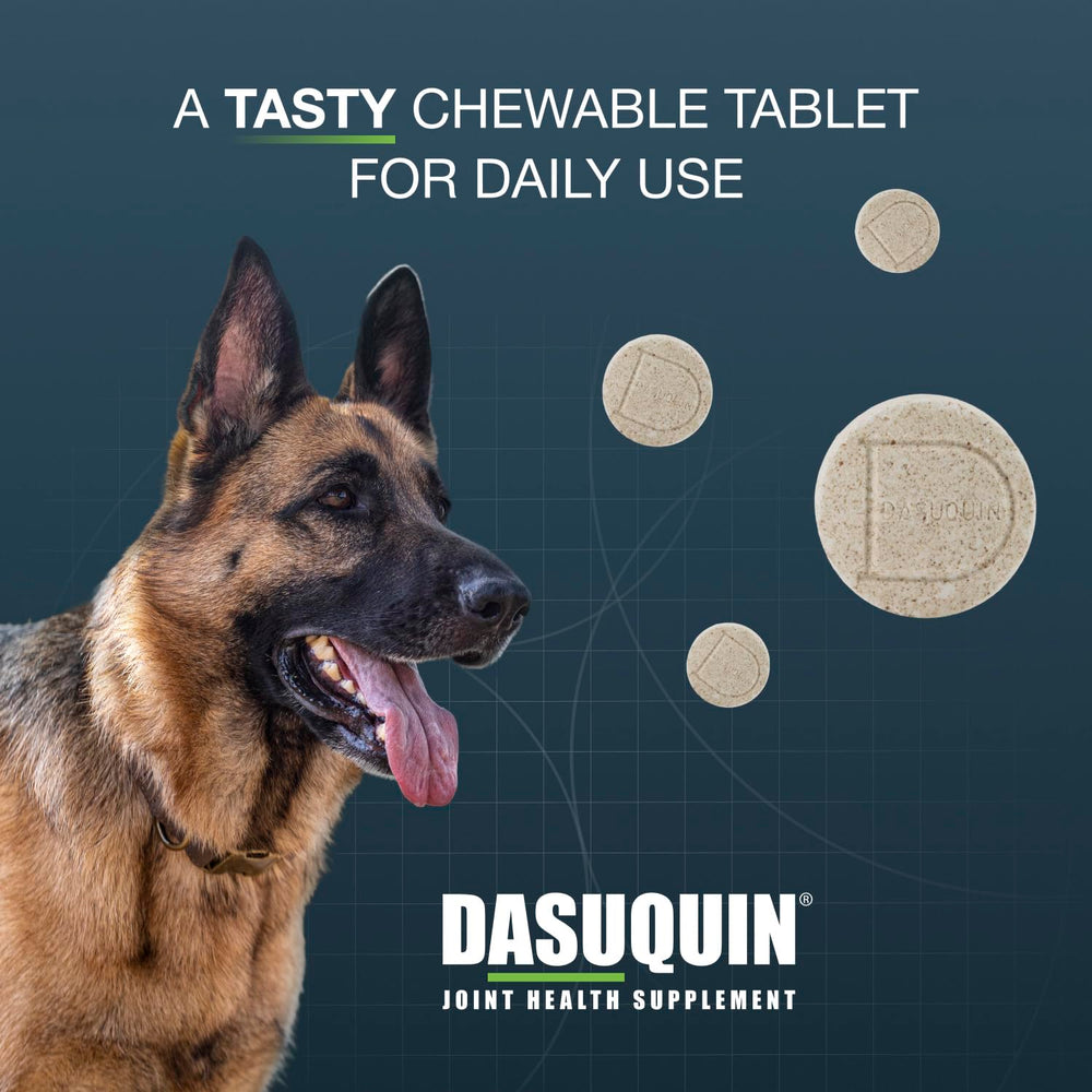Nutramax Dasuquin ingredient label detail showing trademarked components