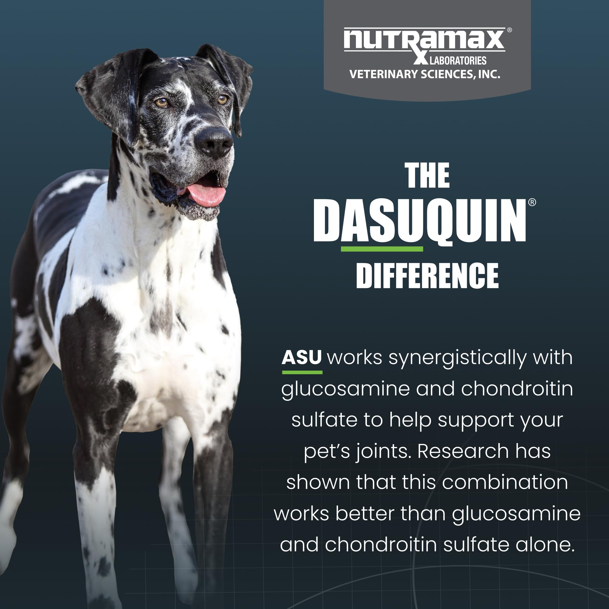 Nutramax Dasuquin ingredient label close-up showing proprietary formula