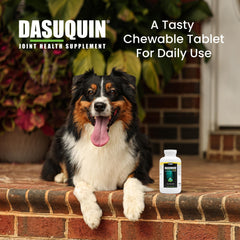 Large dog accepting Nutramax Dasuquin chew demonstrating easy daily dosing