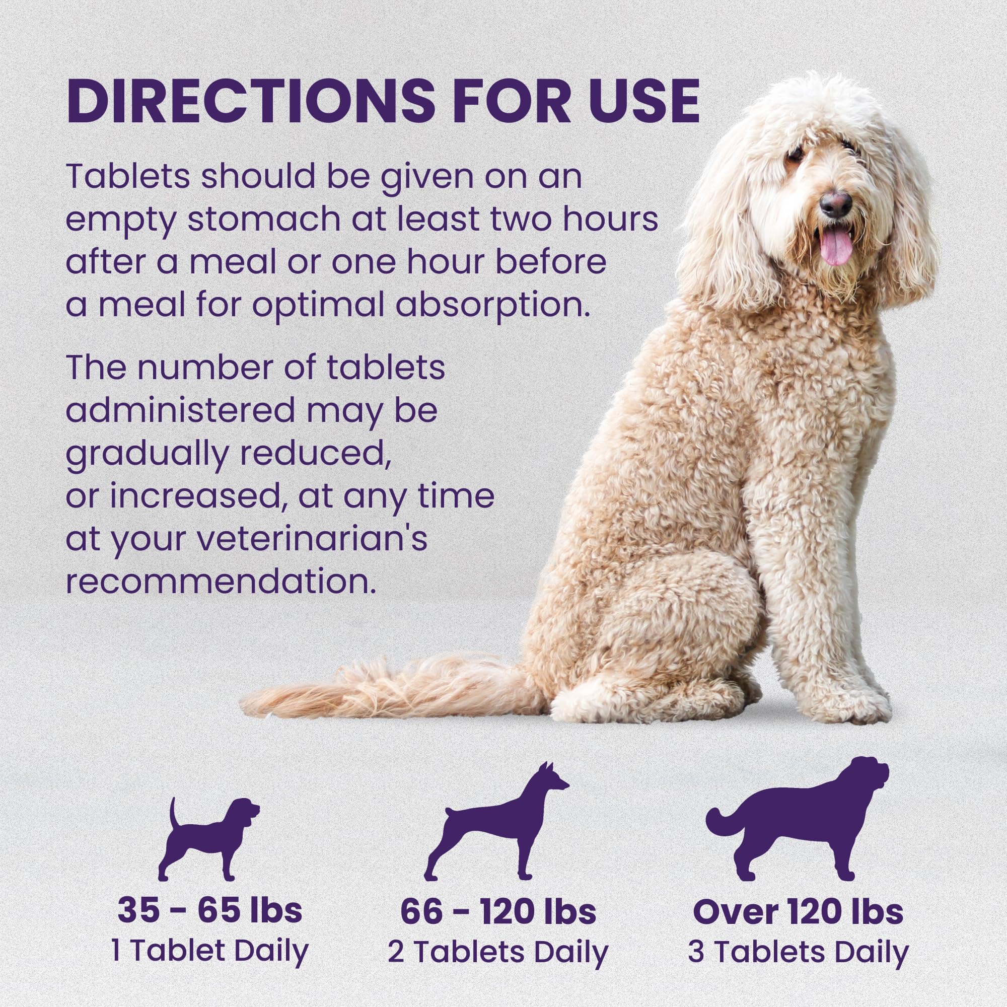 Large dog taking Nutramax Denamarin tablet showing easy administration