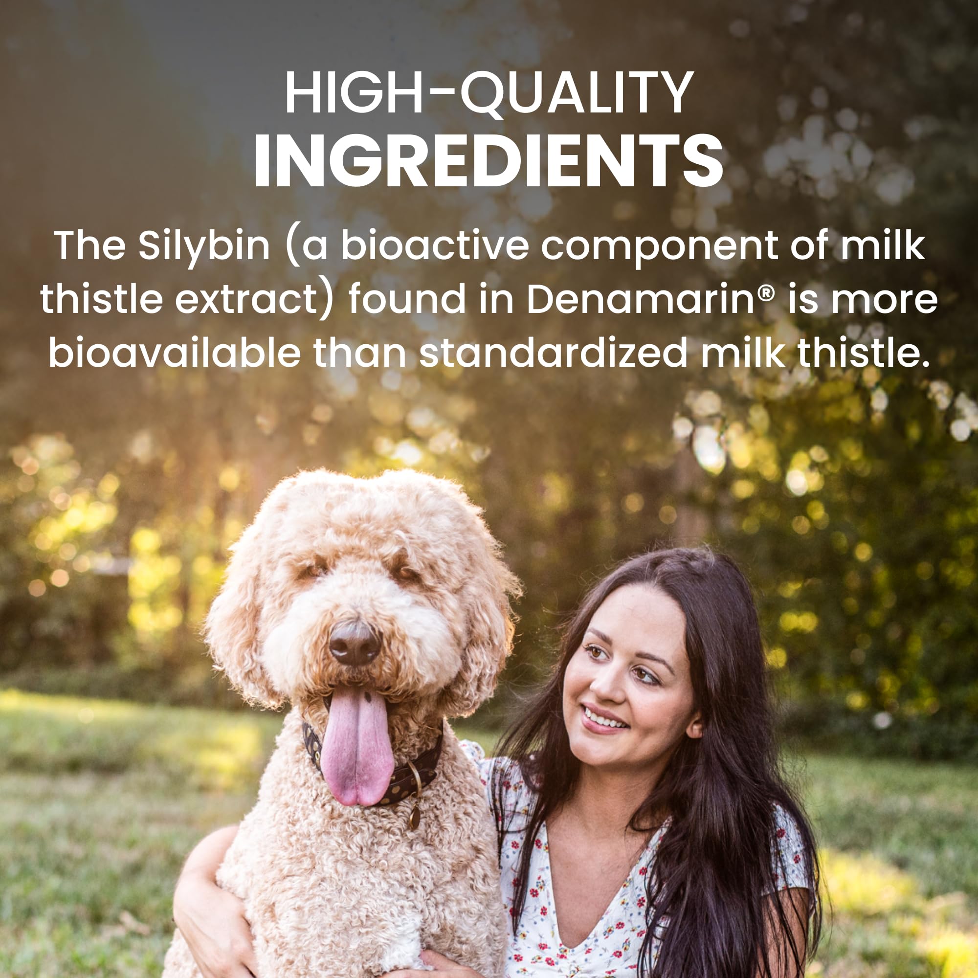 Nutramax Denamarin label details listing SAMe and silybin support