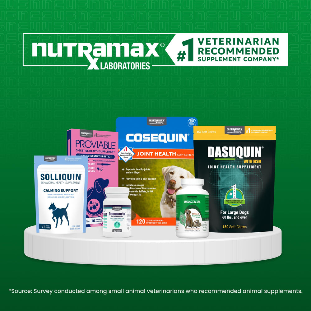 Dog owner with pet and Nutramax Denamarin illustrating daily care support