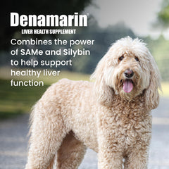 Nutramax Denamarin coated tablet close-up showing smooth coating benefit