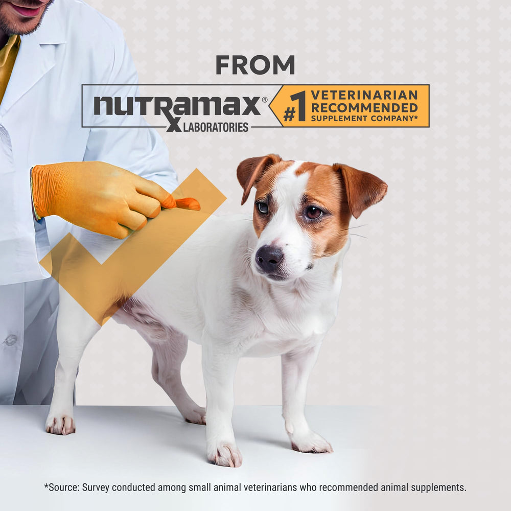 Nutramax Filaquin label close-up listing NMXFBR4 proprietary fiber blend