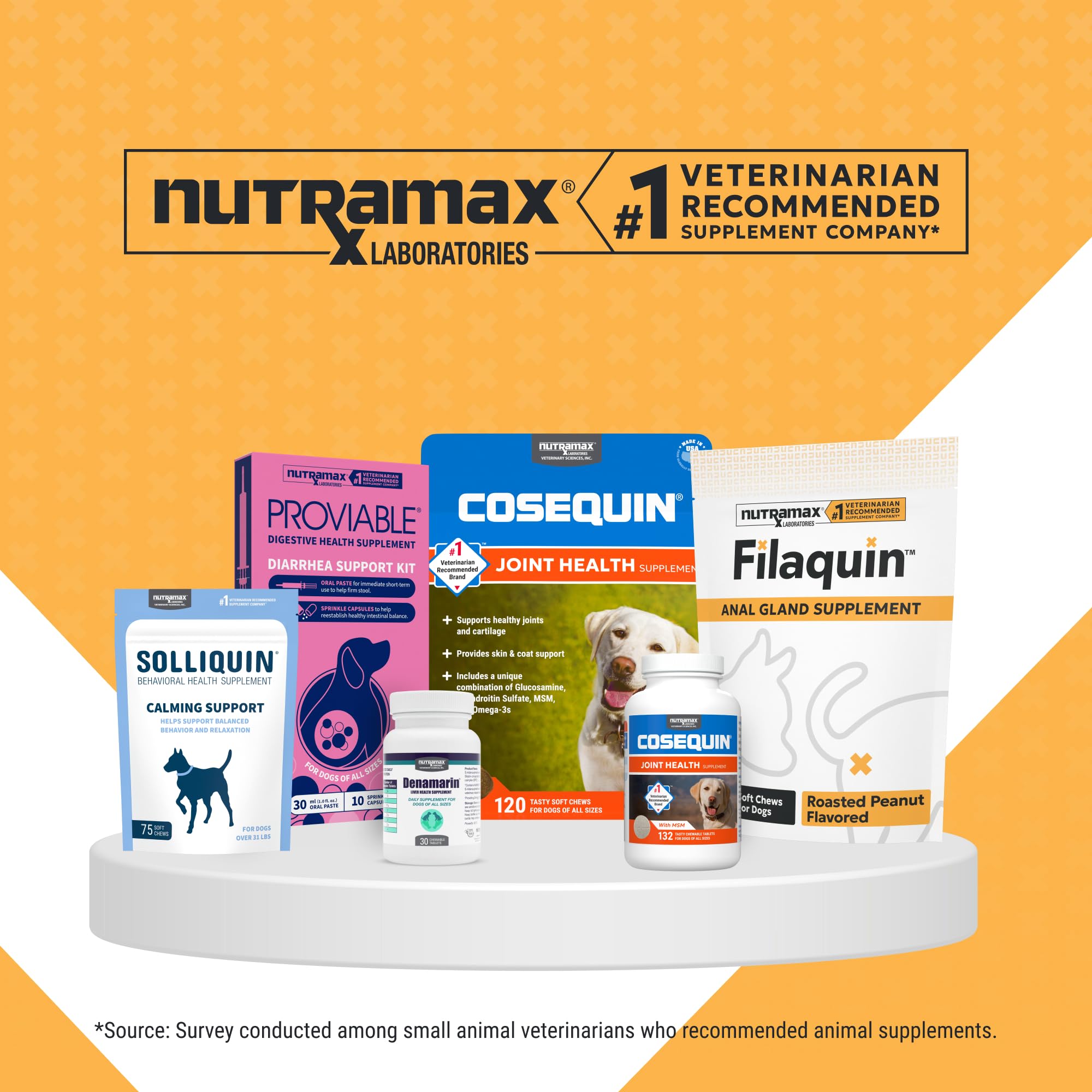 Happy dog outdoors after supplement use implying digestive comfort with Nutramax