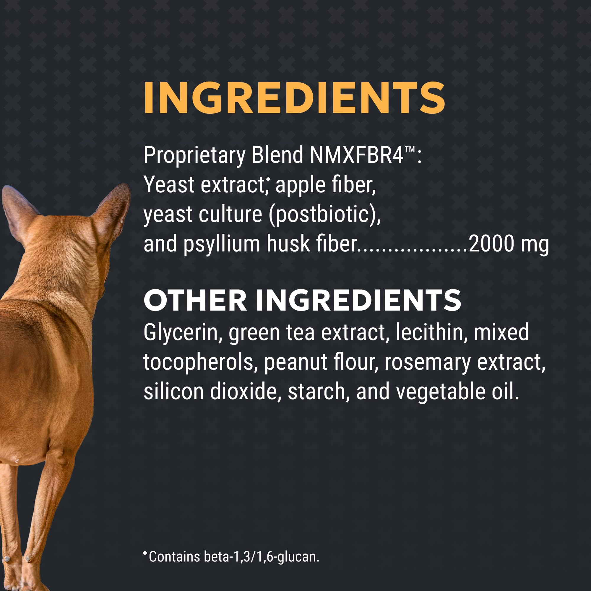 Nutramax Filaquin on veterinarian counter to show trusted supplement brand