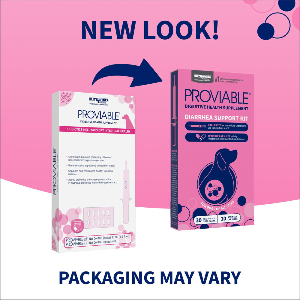 Nutramax Proviable capsule powder close-up showing probiotic texture