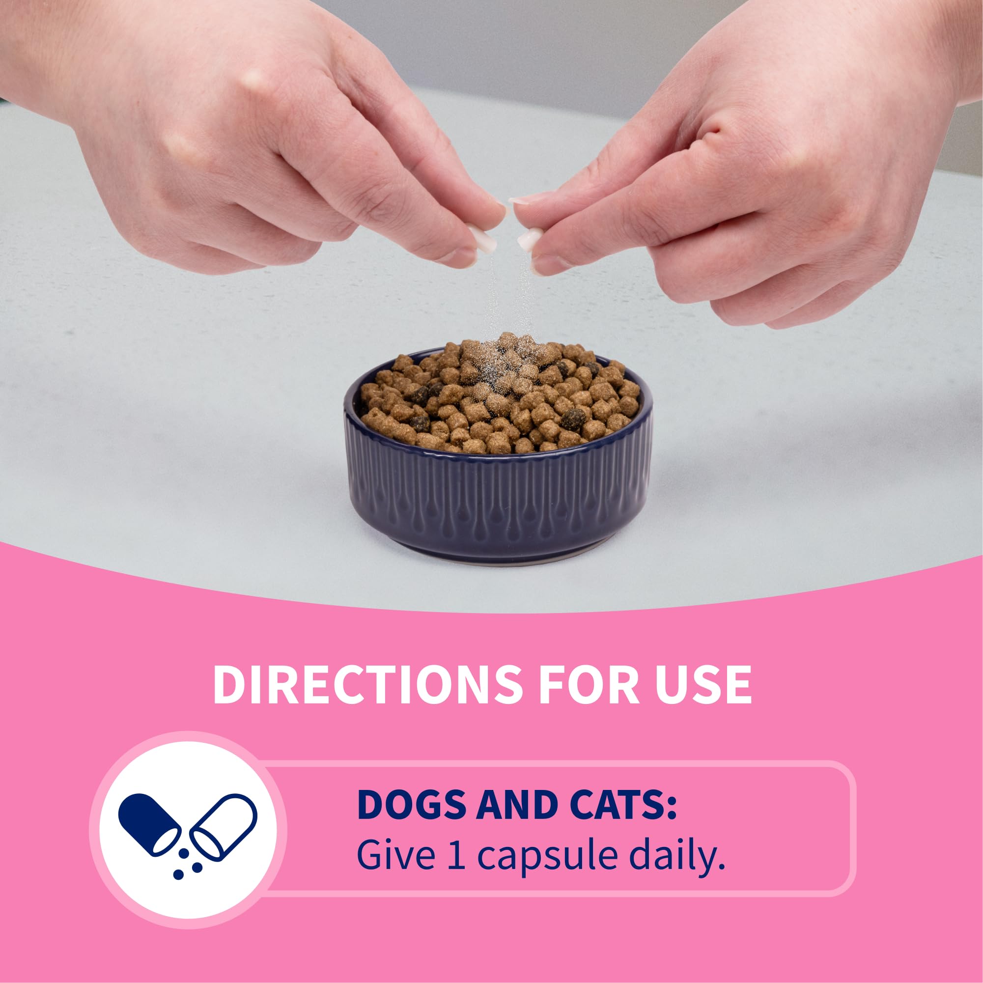 Dog eating food with Nutramax Proviable sprinkled for gut balance