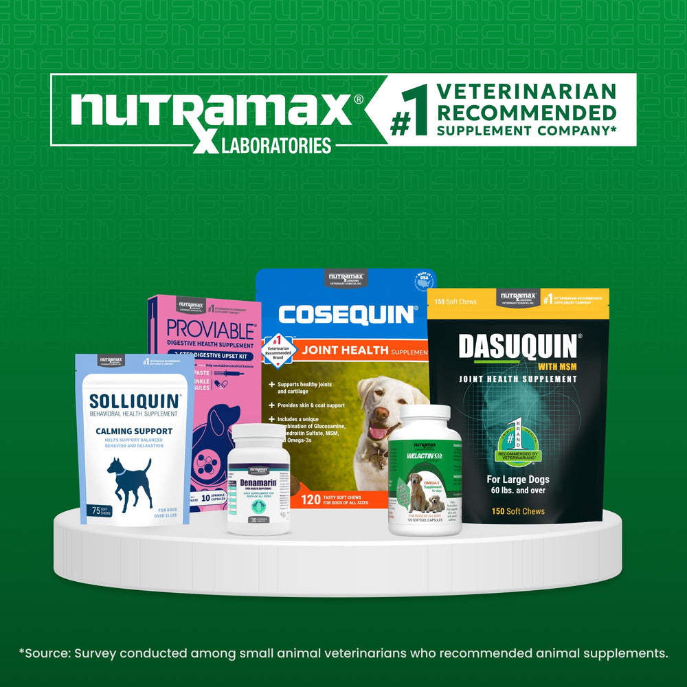 Nutramax Welactin beside veterinary brochure emphasizing trusted supplement source