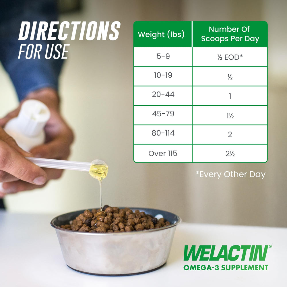 Nutramax Welactin featured with dog reaching for bowl suggesting improved feeding time