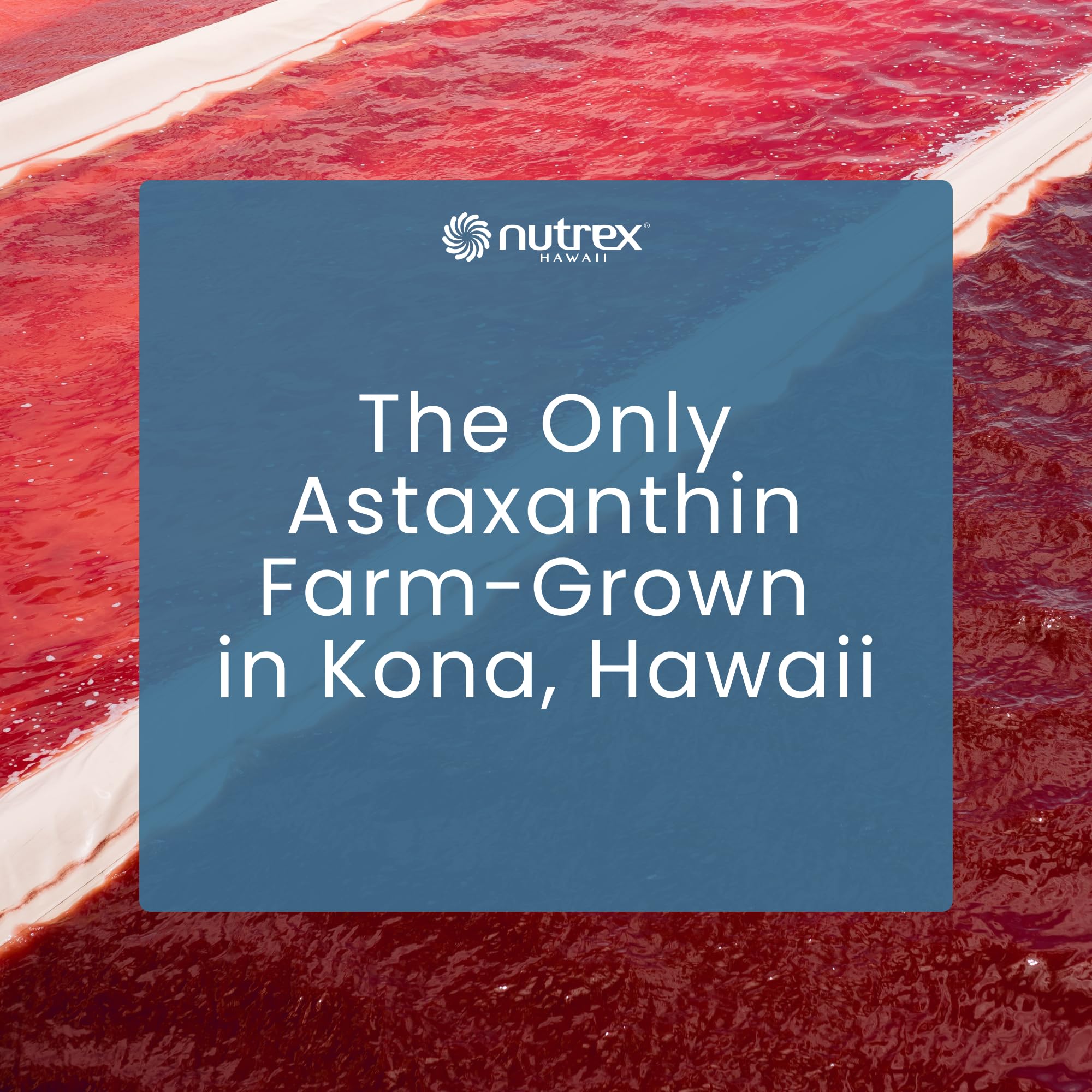 Nutrex Hawaii softgels in travel pill box illustrating portability and daily routine ease