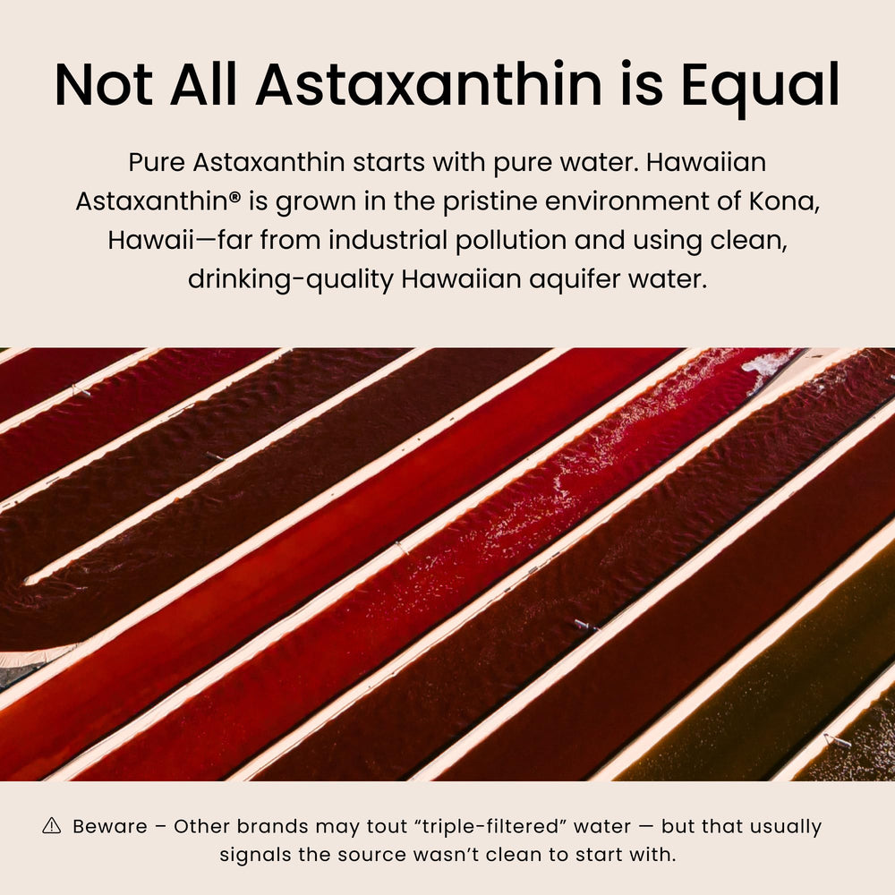 Nutrex Hawaii cultivation ponds in Kona demonstrating natural outdoor growth transparency