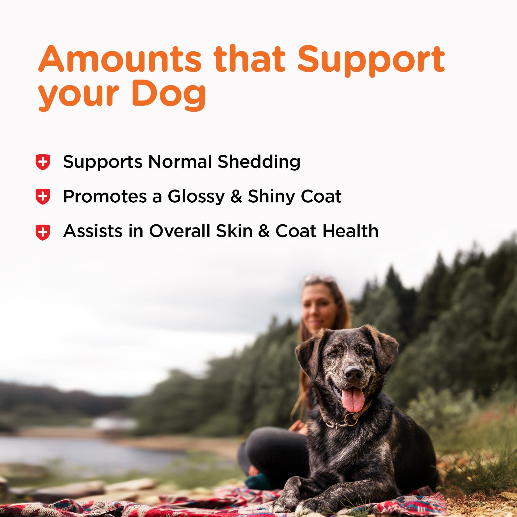 Nutri-Vet dog with shiny coat portraying visible coat improvement and vitality