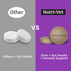 Nutri-Vet tablet close-up highlighting texture and chewable form