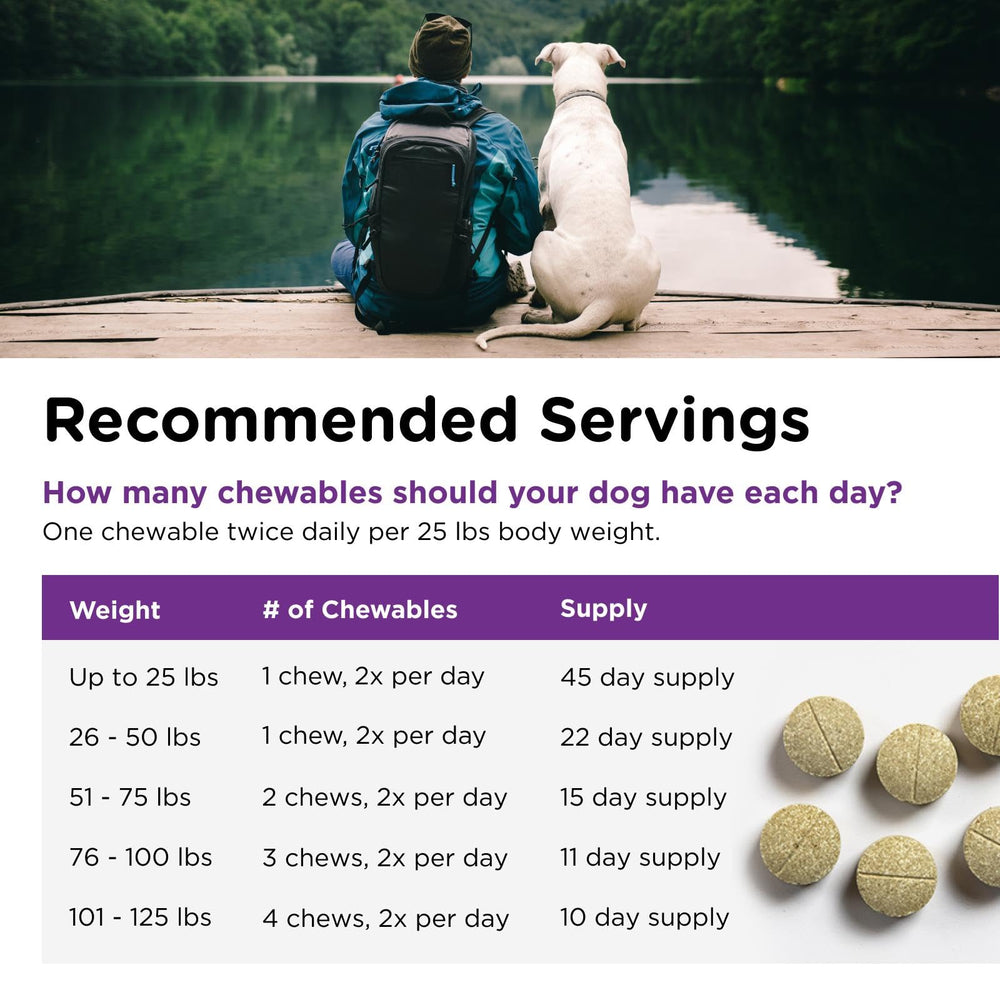 Nutri-Vet tablet beside dog paw showing ease of giving a treat