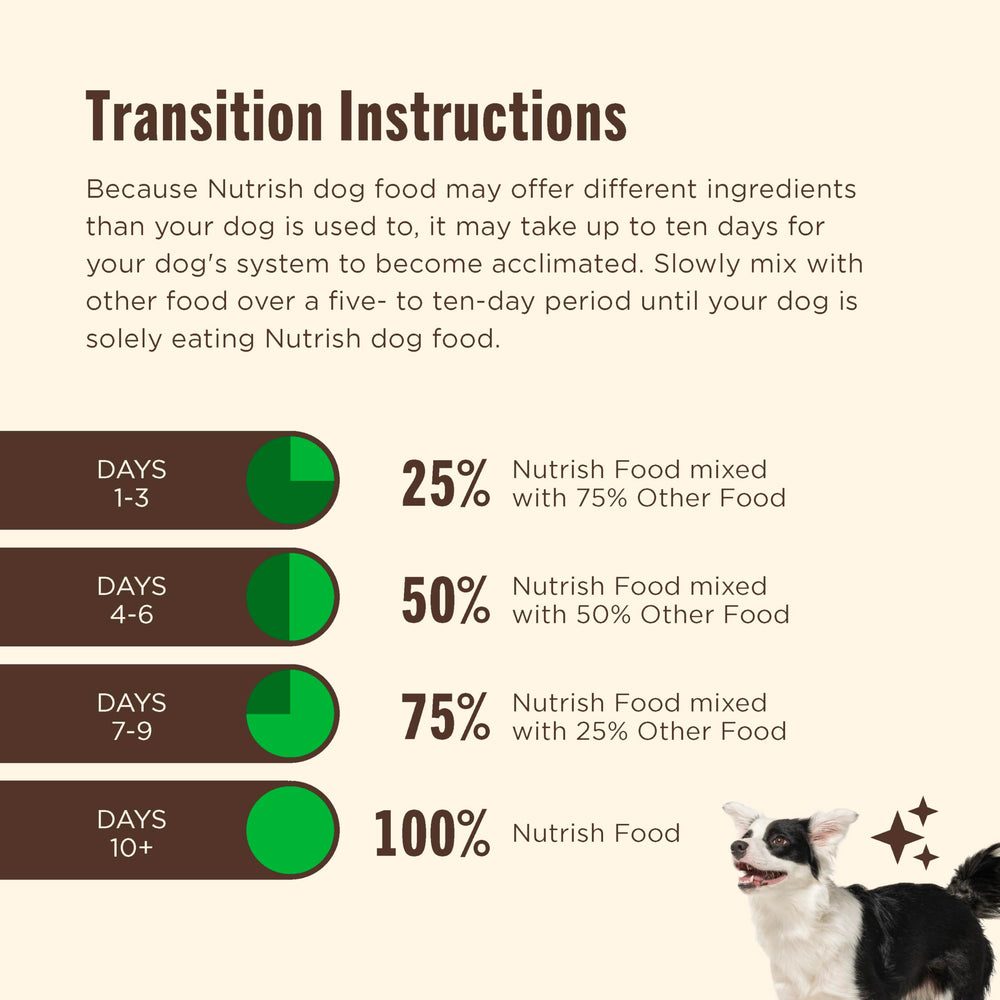 Nutrish dog eating from bowl illustrating palatability and enjoyment