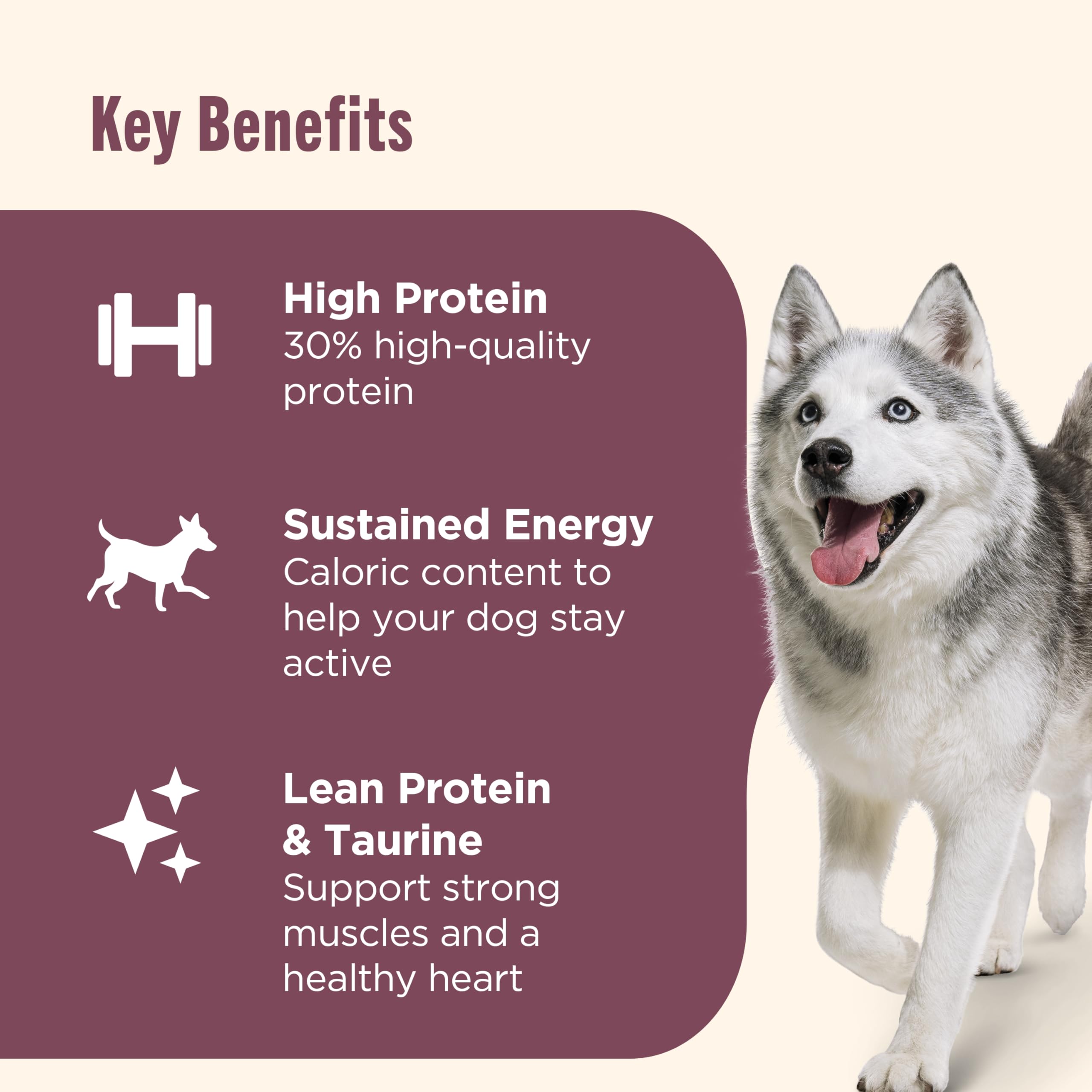Nutrish dry kibble in bowl ready to serve for convenient feeding