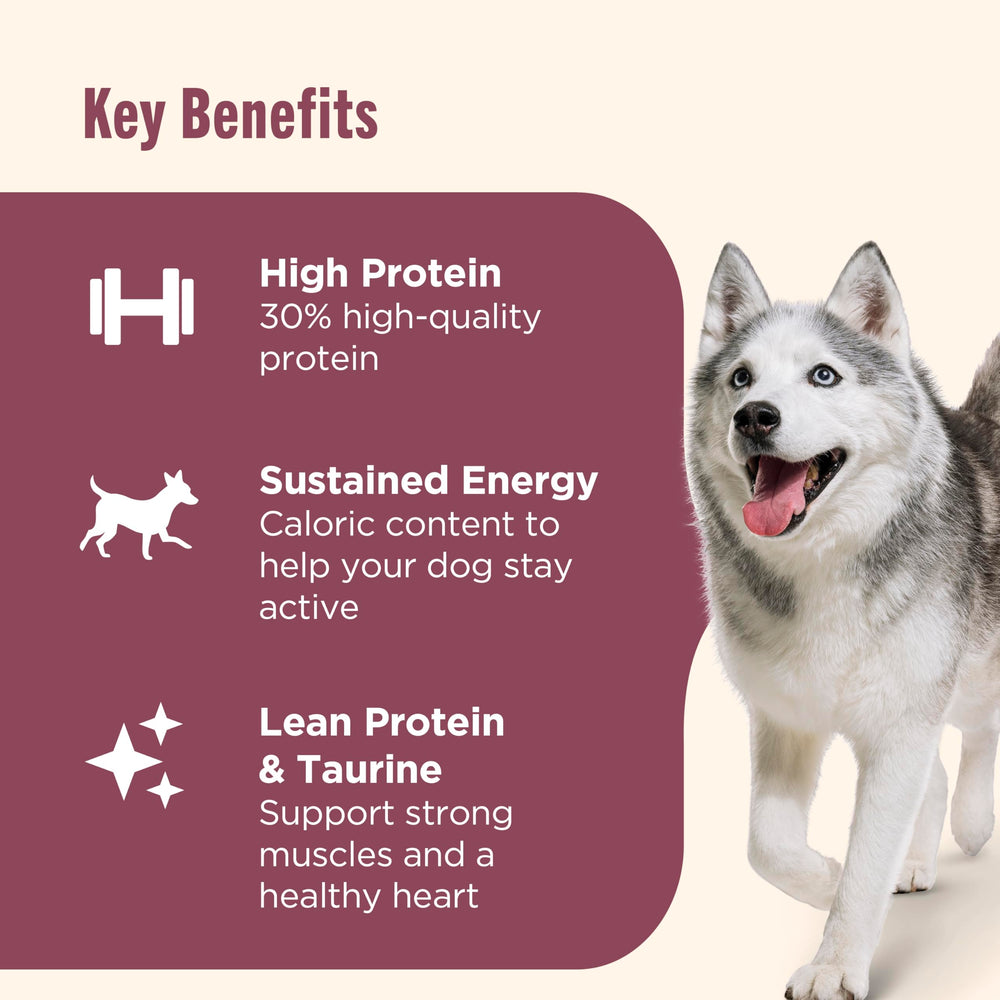 Nutrish dry kibble in bowl ready to serve for convenient feeding