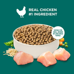 Nutrish feeding bowl filled with dry food showing portion size and appetite appeal benefit